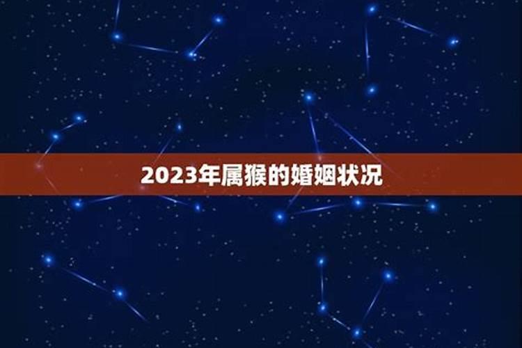 2023年属猴的婚姻状况怎么样