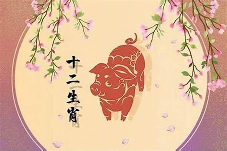 今年太岁冲什么属相