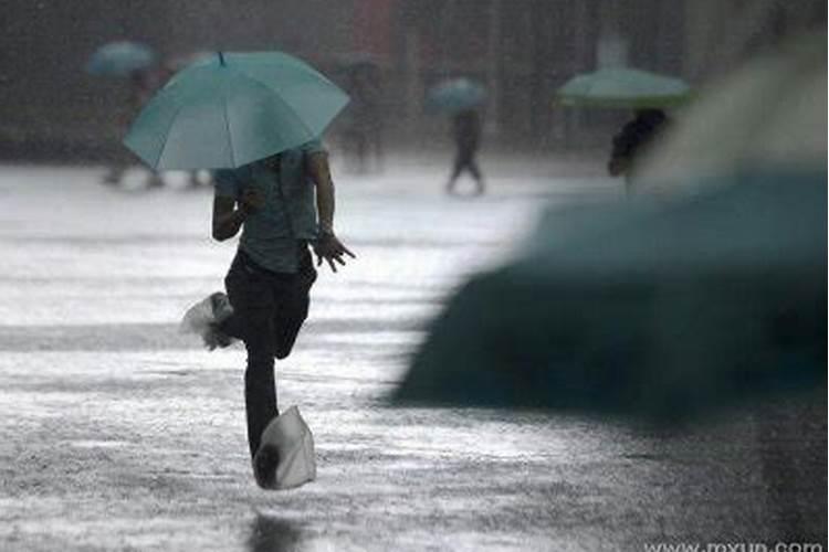 怀孕梦见大雨淋湿自己