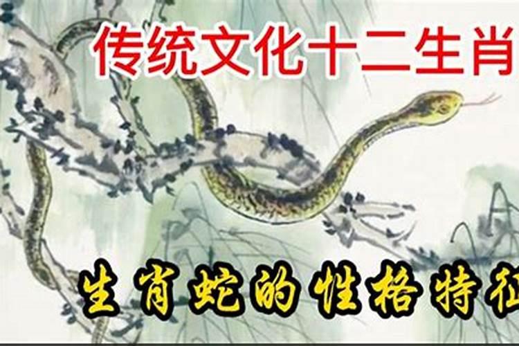 生肖蛇性格特点缺点