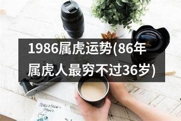 86年属虎人最穷不过36岁女