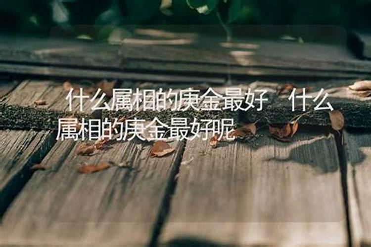 什么属相命理藏金最好