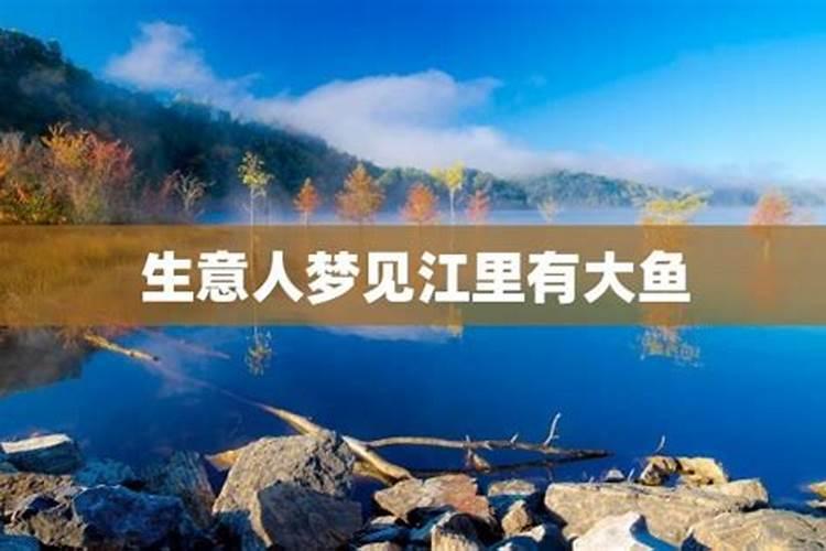 梦见坟地吃鱼