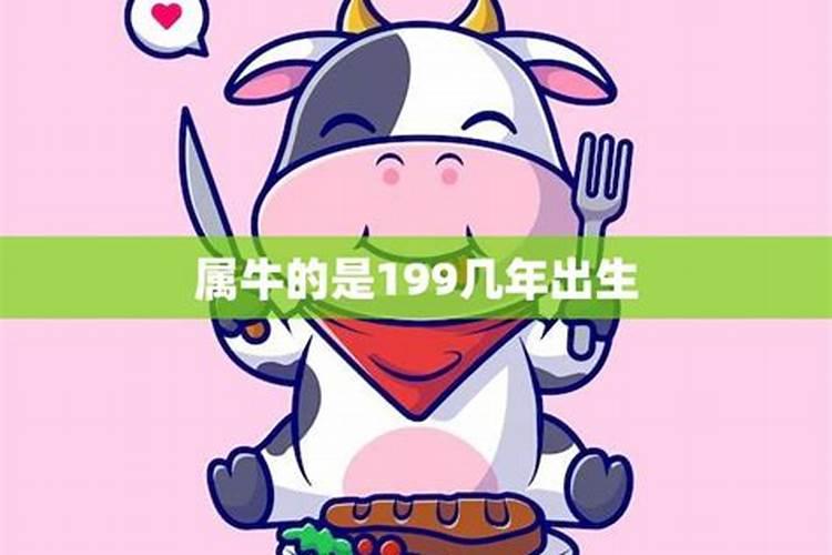 属牛是199几年的人