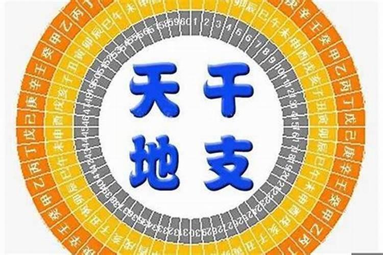 八字地支关系直断