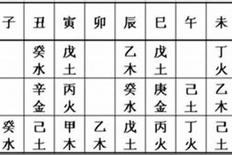 八字中地支