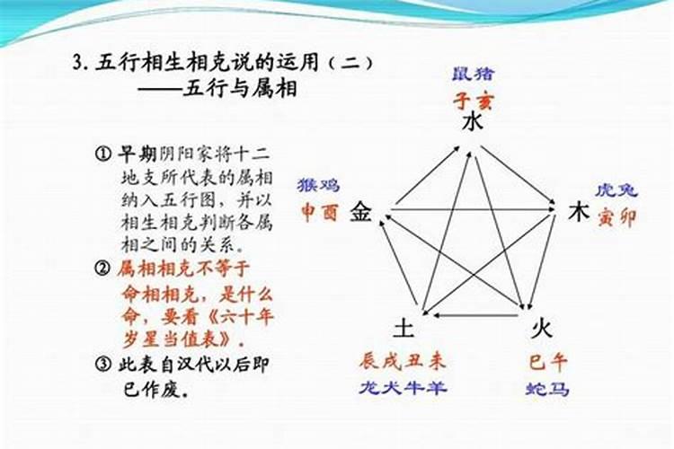 五行跟属相有关系吗