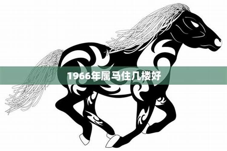 1966年属马的人住几层楼好