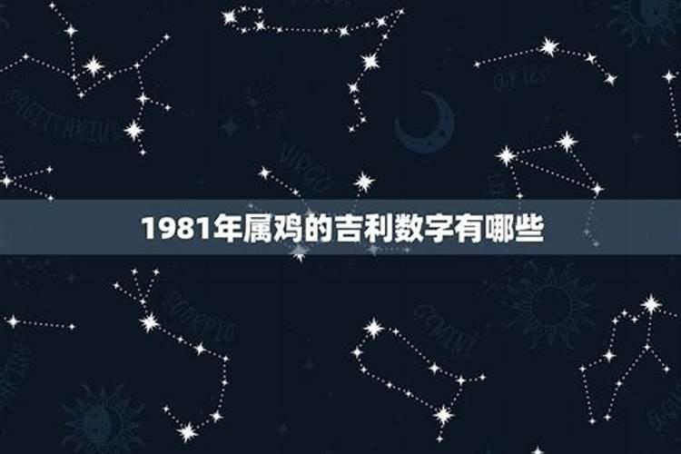 1981年属鸡人永久吉利的数字