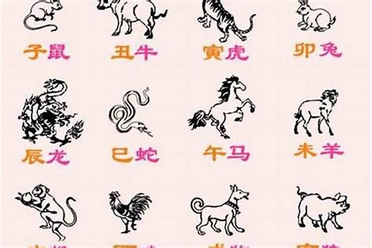 生肖猪和鸡生什么宝宝好