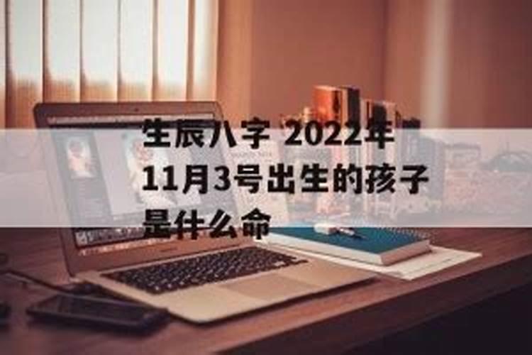 11月3号出生的是什么座