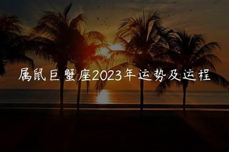 属鼠巨蟹座2022年的全年运势