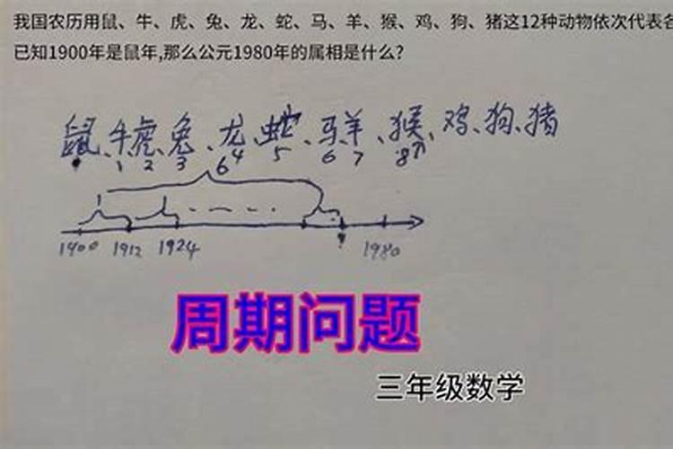 12生肖的数学问题