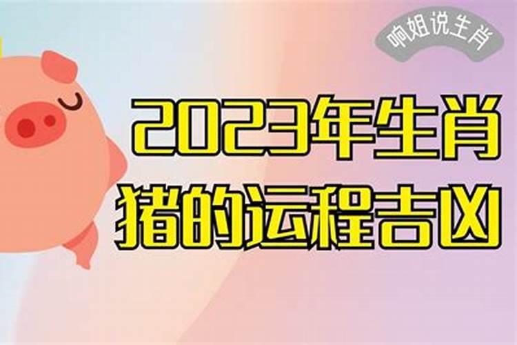 2023年属猪运势运程