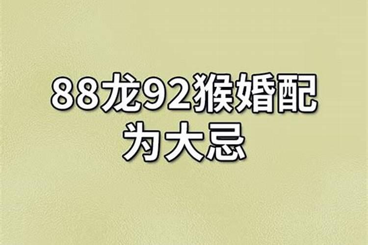 88年龙和92年猴相配婚姻如何