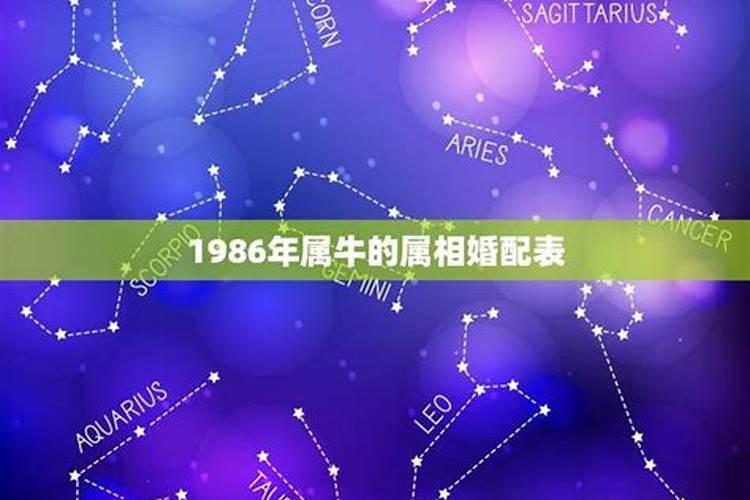 1986年属牛婚配最佳对象是谁啊