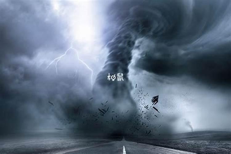 梦见龙卷风大雨是什么预兆