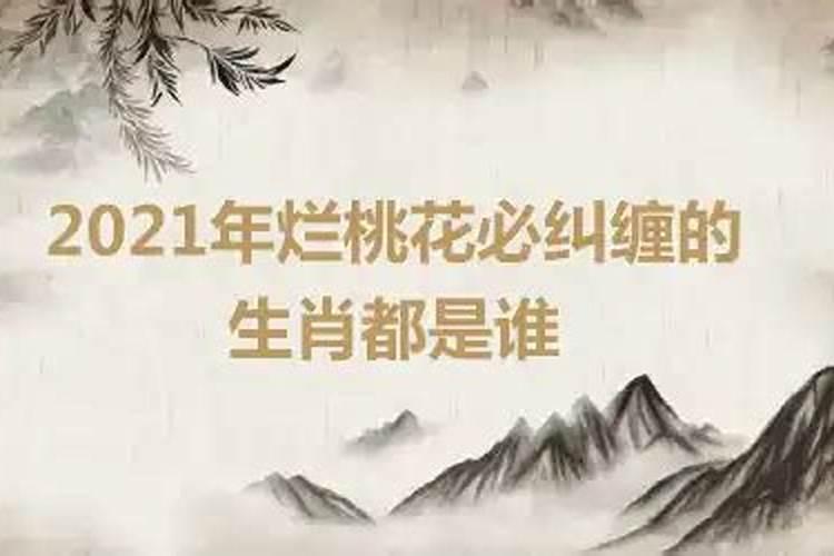 总是烂桃花缠身的6大星座!