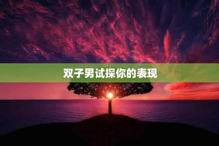 双子男试探你的表现有哪些方式