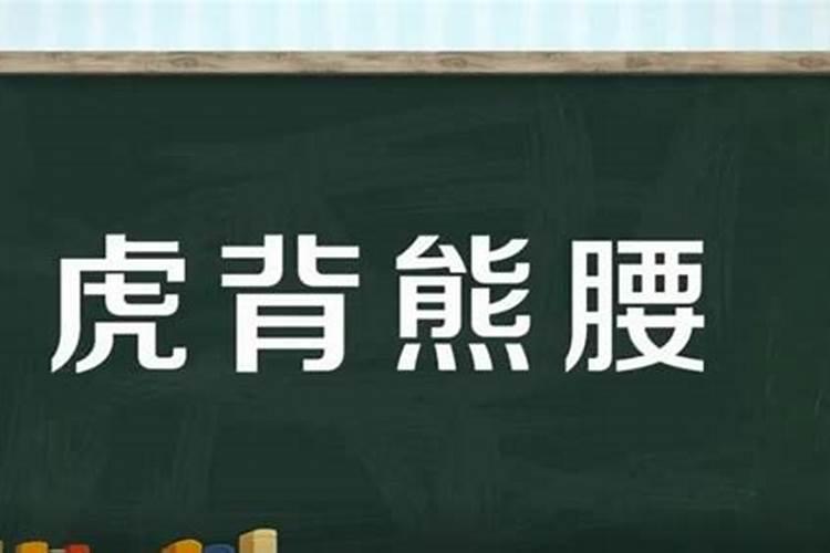 虎背熊腰什么生肖好