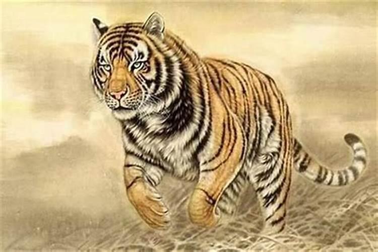 虎的贵人是属什么生肖