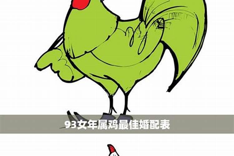 93年鸡女最佳婚配