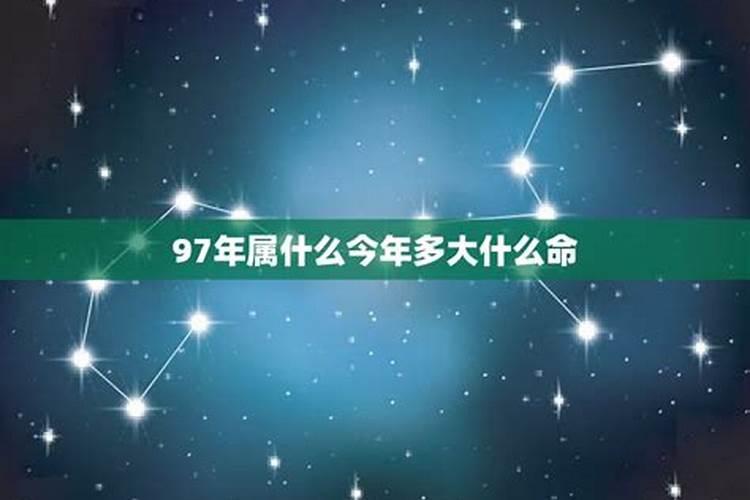 属牛的97年今年多大