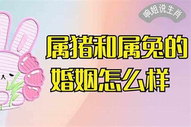 两个属兔的人婚姻如何