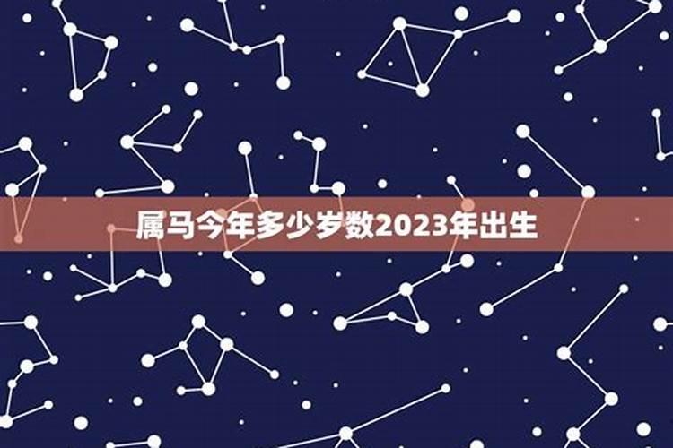 马生肖年份岁数2022