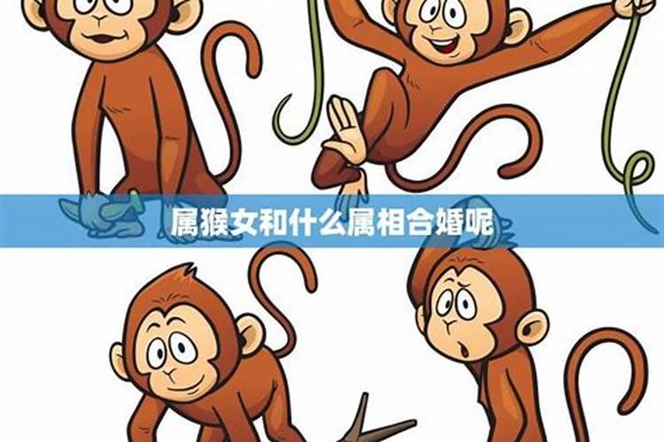 梦见陌生人老人