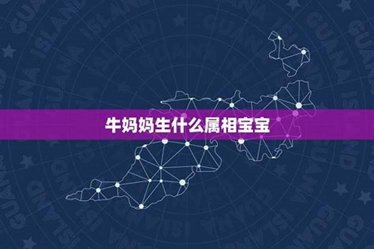 爸爸属马孩子属牛一定不好吗为什么