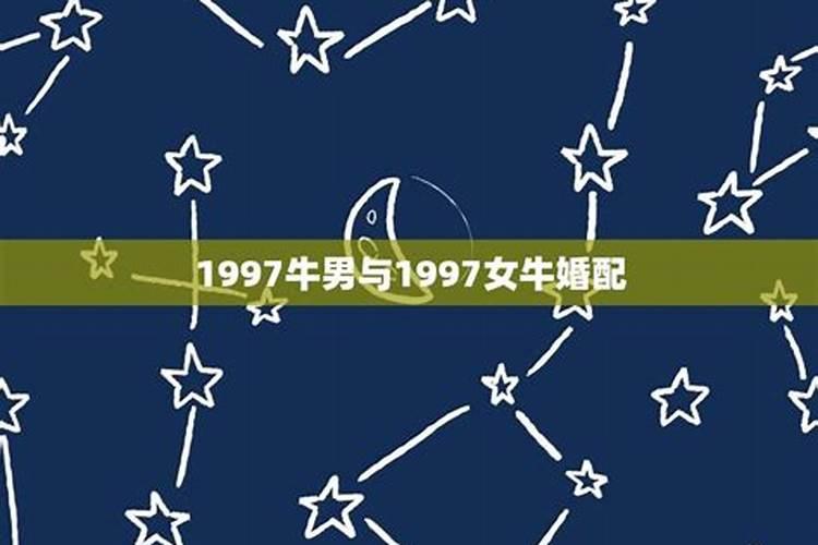 97年牛女和88年龙男的婚姻会长久吗对吗