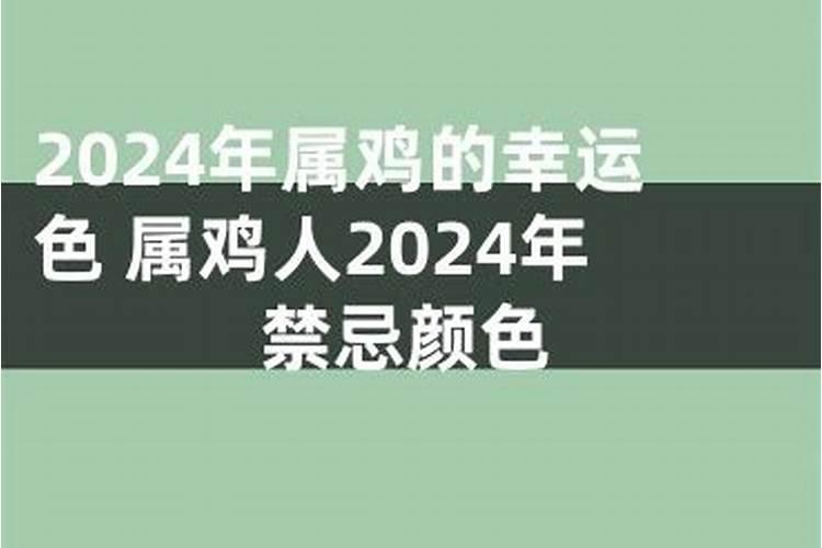 属鸡人的永久幸运颜色