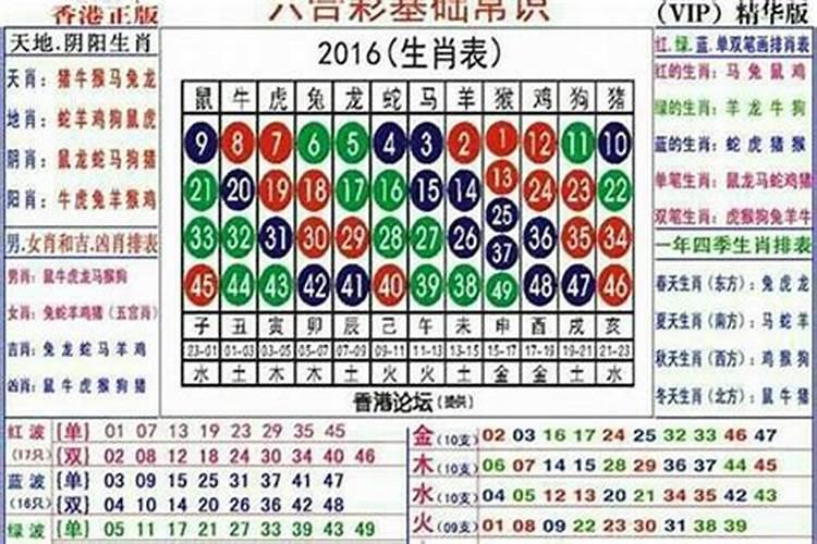 82数字代表什么生肖