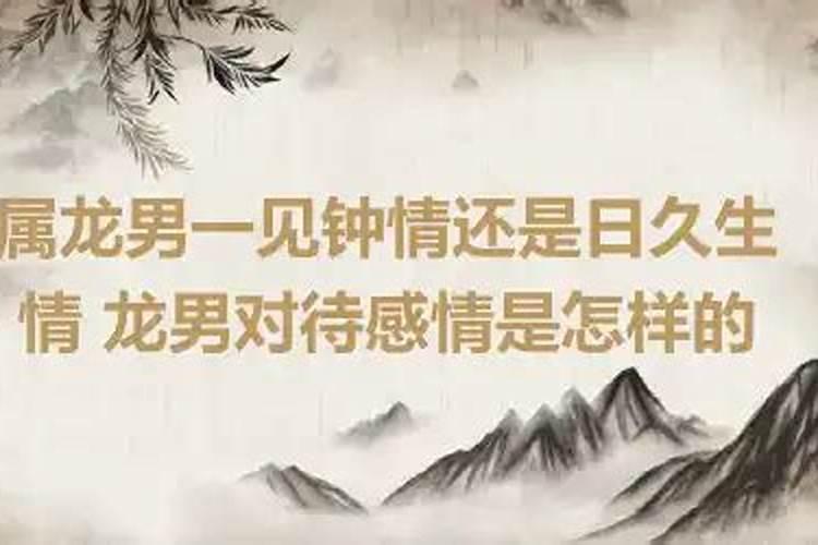 属龙男对待感情的态度