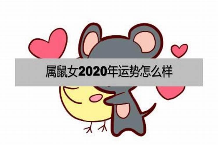 1984年属鼠女运势2022年