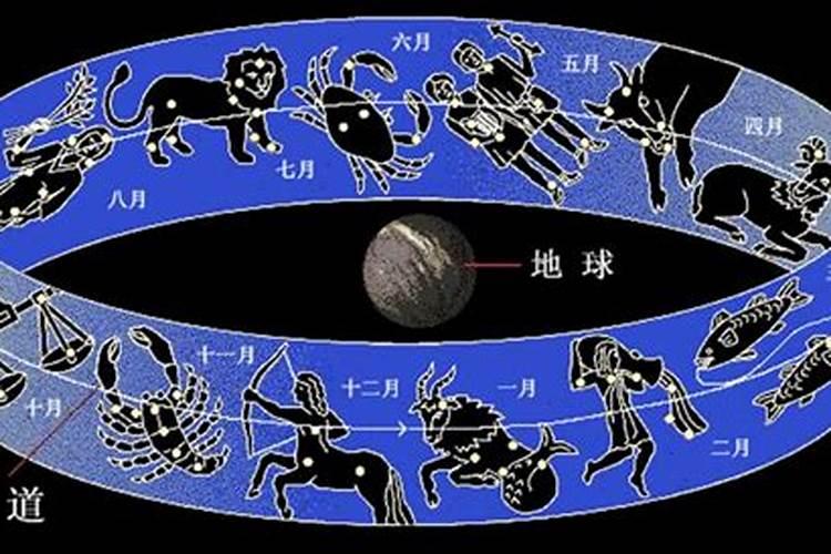 一共有多少个星座是不是13个月的宝宝呢