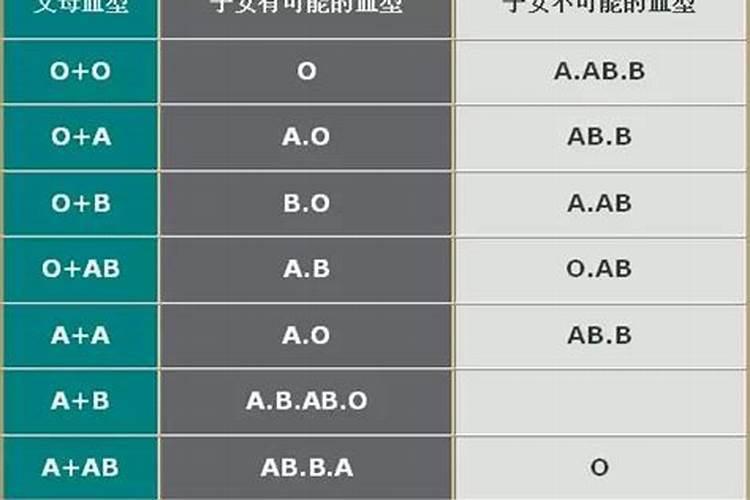 双子座属兔o型血