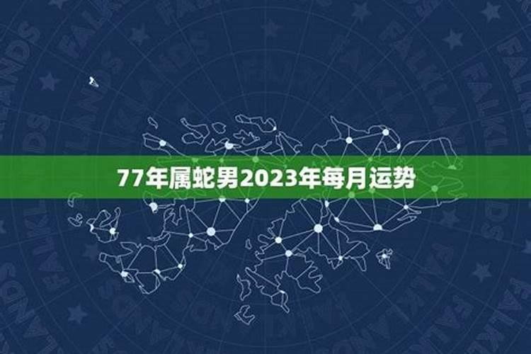 77年属蛇男人2023年每月运势及运程详解