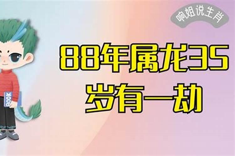 生肖龙35岁以后命运有多好