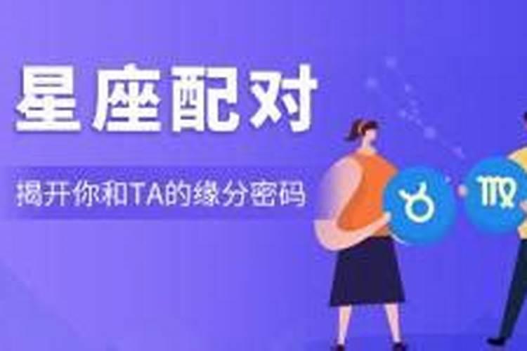 双子座和处女座合不合得来