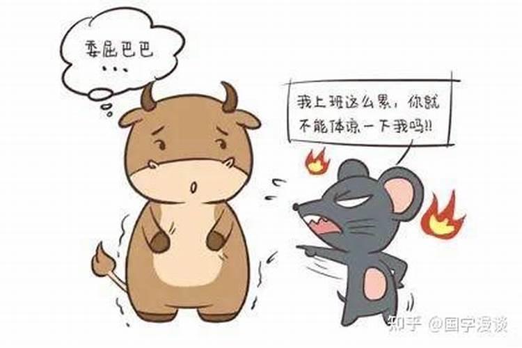 女属鼠的人性格和优缺点