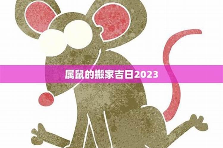 属鼠的搬家吉日2020