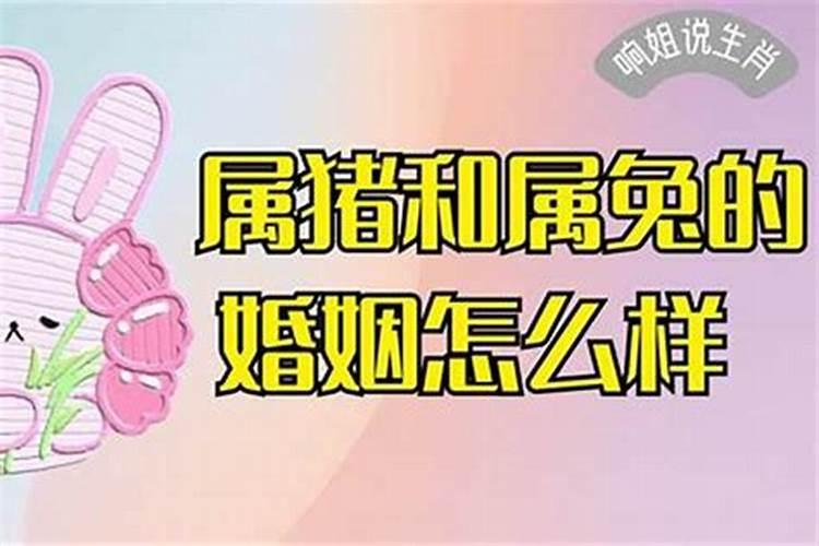 男女都属兔结婚好吗