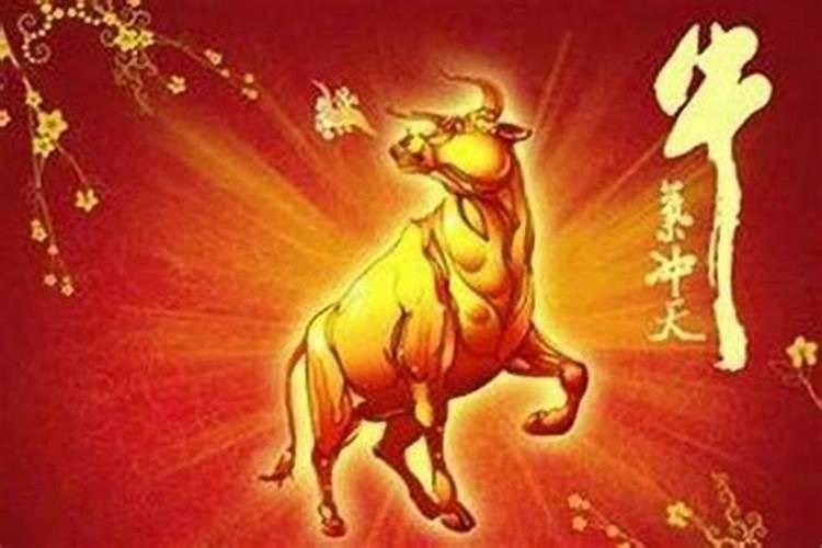 属牛买几楼最好,朝哪方向好