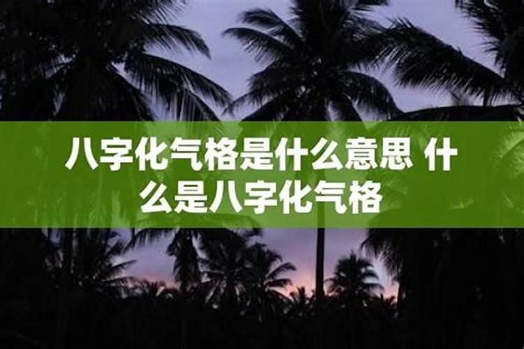 八字化格是什么意思