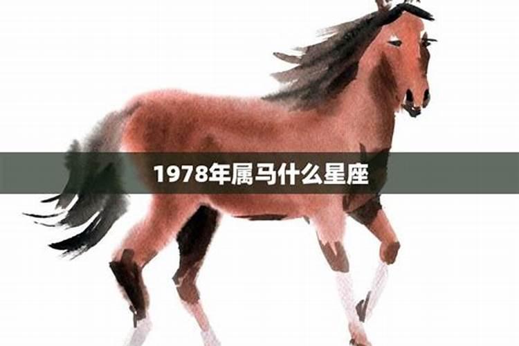 78年属马什么星座女