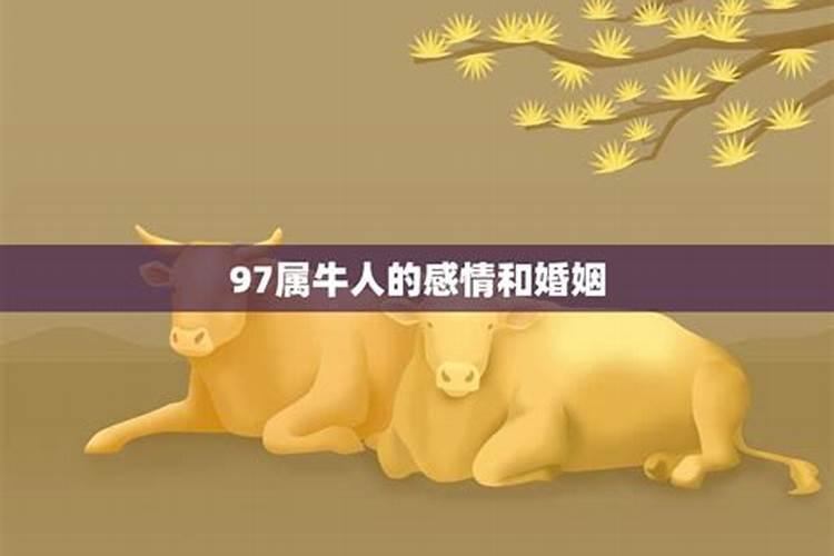 属牛的2021年婚姻怎么样