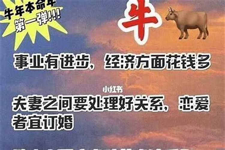 本命年运气不好怎么化解方法