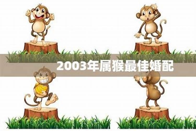 2003年属猴的今年多大